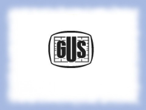 Logo GUS na białym tle z niebieską ramką.